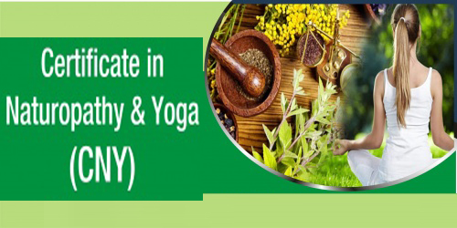 Certificate in Yoga & Naturopathy 